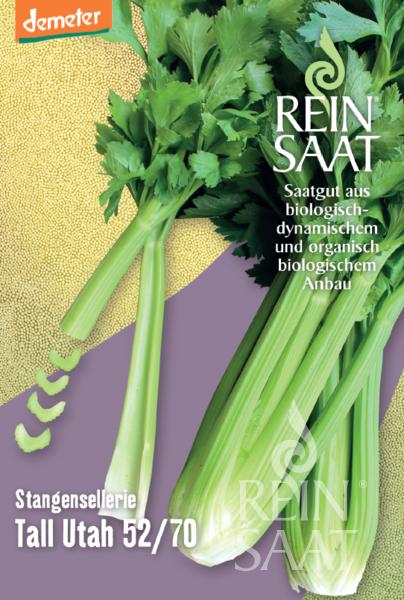 Celery Tall Utah 52/70