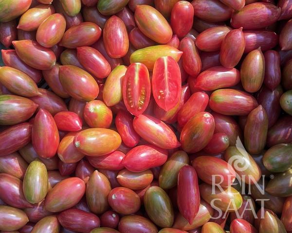 Tomato Artisan Pink Tiger