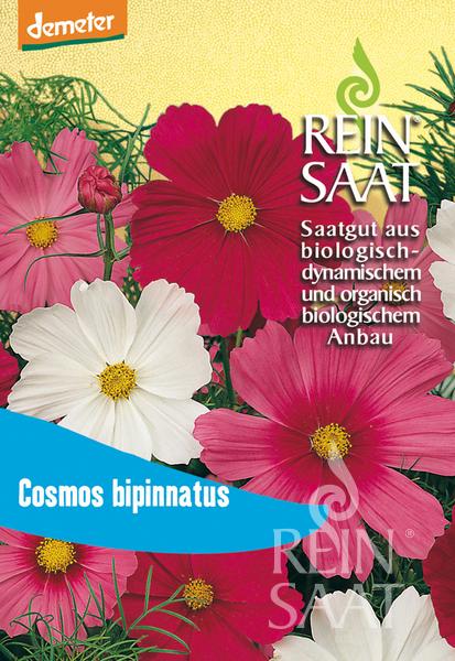 Flower Garden cosmos mix