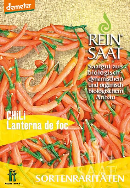 Chili Lanterna de foc