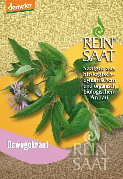 Herb Mint-leaved bergamot