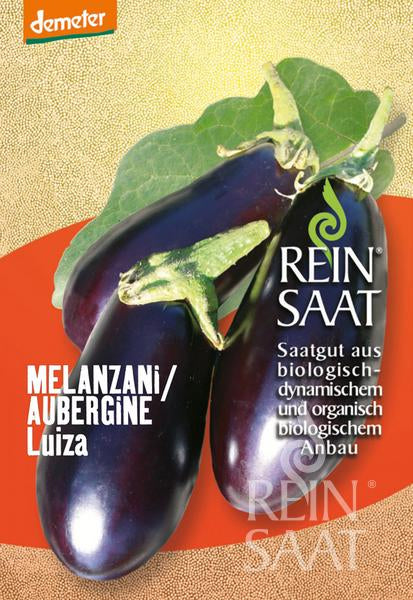 Eggplant Luiza