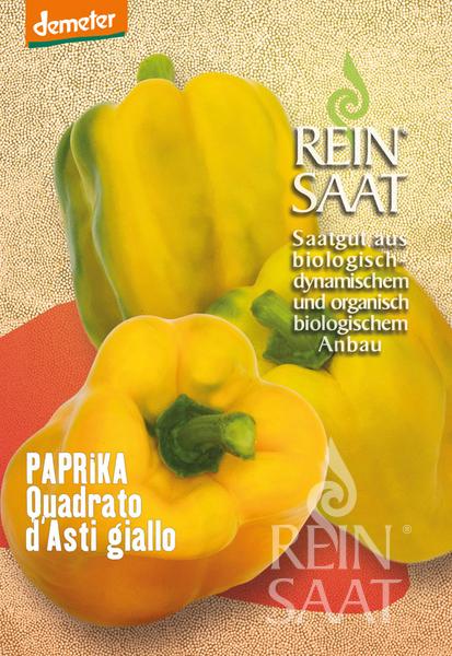 Capsicum Quadrato d’Asti giallo