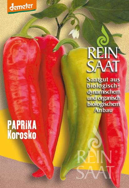 Capsicum Korosko