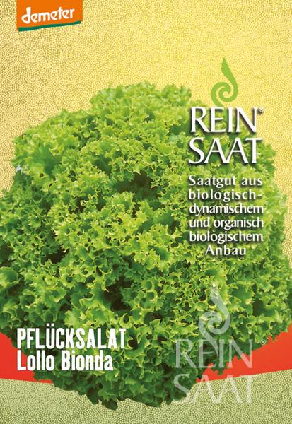 Lettuce Lollo Bionda