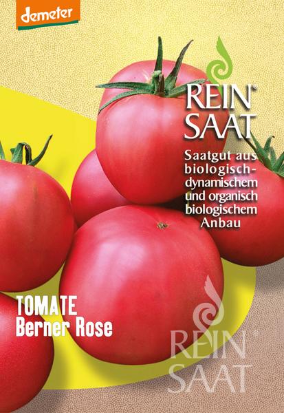 Tomato Berner Rose