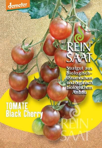 Tomato Black Cherry
