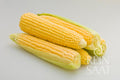 Corn Damaun